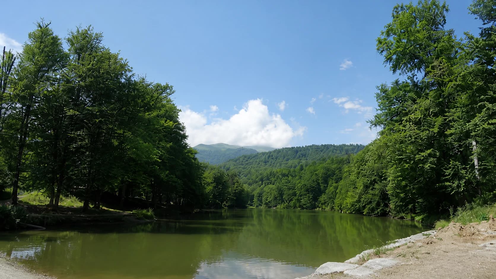 Forest and lake landscape near Dilijan