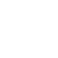 Russian-Armenian University logo